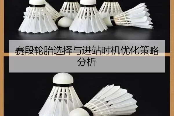 赛段轮胎选择与进站时机优化策略分析