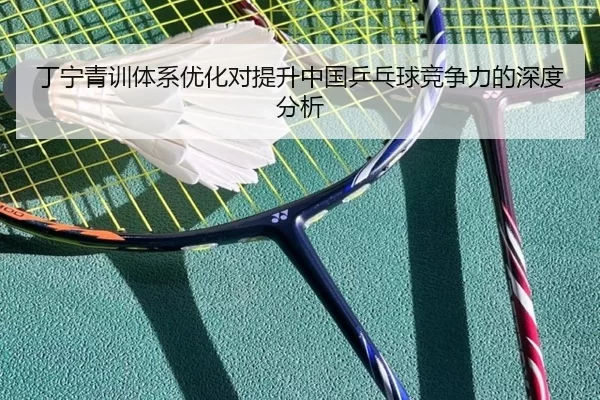 丁宁青训体系优化对提升中国乒乓球竞争力的深度分析