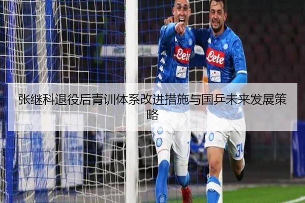 张继科退役后青训体系改进措施与国乒未来发展策略